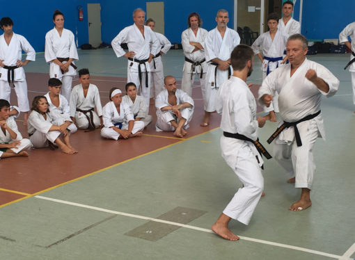 Studio dei fondamenti – Shotokan e Goshindo con il Maestro Ukmar