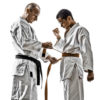Una proposta per diverse modalità di insegnamento del Karate (parte 1)