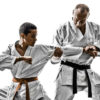 Una proposta per diverse modalità di insegnamento del Karate (parte 2)