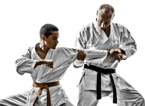 Una proposta per diverse modalità di insegnamento del Karate (parte 2)