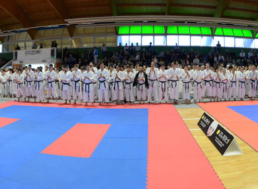 Heart Cup 2016. Treviso capitale del karate, verso il mondiale 2017.