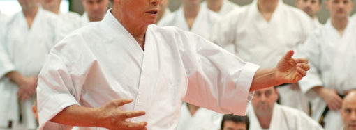 Il Karate e le arti marziali oltre la tecnica – Parte 1