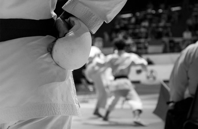 L’azione antiossidante nella pratica del Karate (Parte 3)