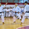 “Siamo nani sulle spalle di giganti”: la prospettiva diacronica nella pratica del karate