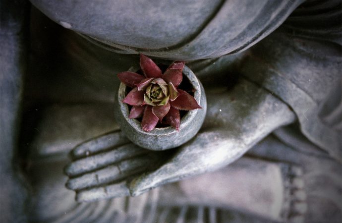 Ridere è illuminazione – La sfida e la resa del maestro zen