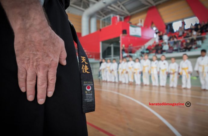 Educare al Karate-do: quale responsabiltà