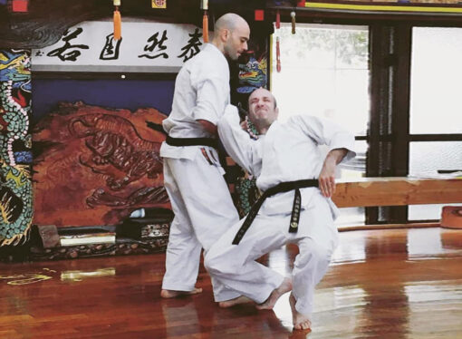Kojo-Ryu Karate – Approfondimento sulla strategia di combattimento