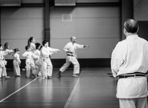 Il Karate come percorso di crescita personale e sintonia con il mondo esterno
