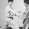 Karate: distanza e paura